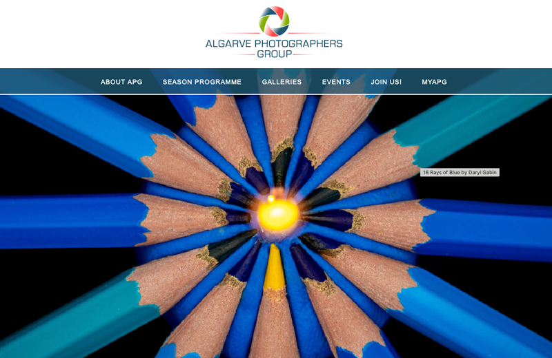 Screenshot of APG web site